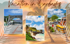 Xem ngay kinh nghiệm du lịch Barbados mới nhất!