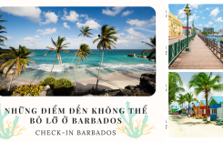 Top các địa điểm du lịch Barbados không nên bỏ lỡ