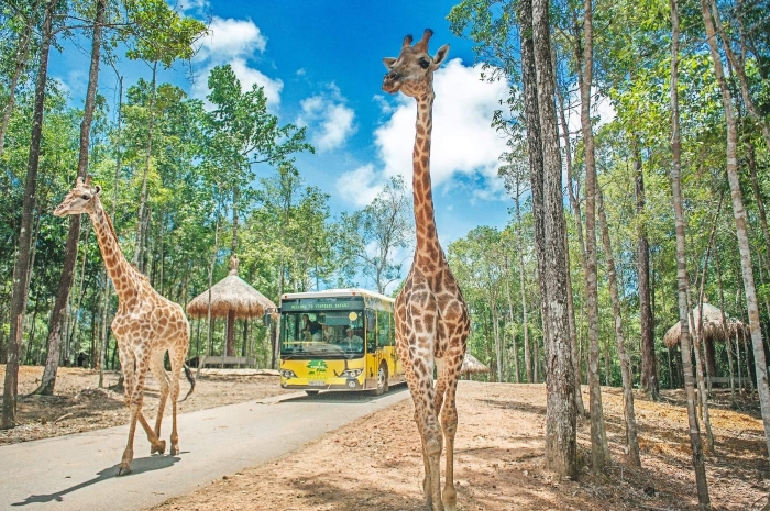 Thăm "thú" độc đáo tại Vin Safari