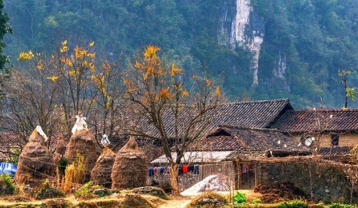 Thung lũng Sủng Là Hà Giang là một thung lũng thuộc địa phận cao nguyên đá Đồng Văn và cũng là xã đẹp nhất ở đây