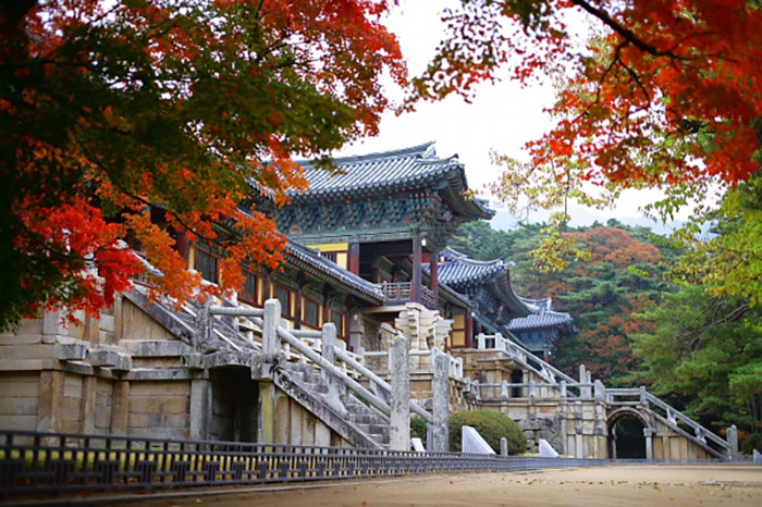 Chùa Bulguksa Hàn Quốc nằm tại thành phố Gyeongju, một thành phố được biết đến là vùng đất Phật với hơn 1000 năm lịch sử.