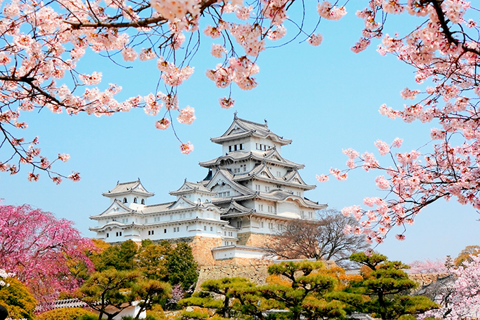  Khám phá lâu đài Himeji : Lâu đài cổ đẹp bậc nhất Nhật Bản.