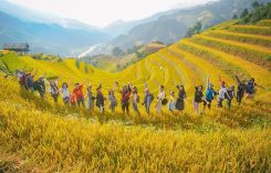 Tour Du lịch Mù Cang Chải của Du lịch Khát Vọng Việt – Kavo Travel có tốt không?