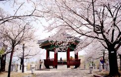 Top 6 công ty du lịch chuyên tour Hàn Quốc uy tín