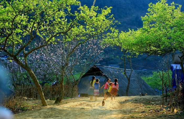 Mộc Châu là một vùng đất xinh đẹp có nhiều phong cảnh nên thơ