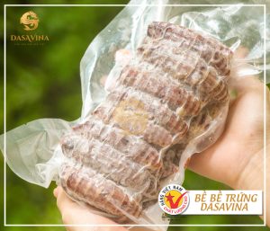 Công ty Đặc sản DASAVINA là đơn vị cung cấp sản phẩm bề bề trứng chất lượng hàng đầu trên thị trường hiện nay