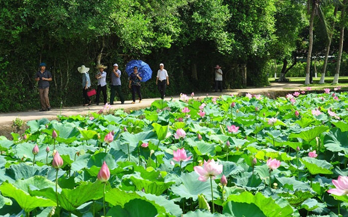 Đến đây, bạn sẽ được ngắm nhìn khung cảnh làng quê yên ả của Bác