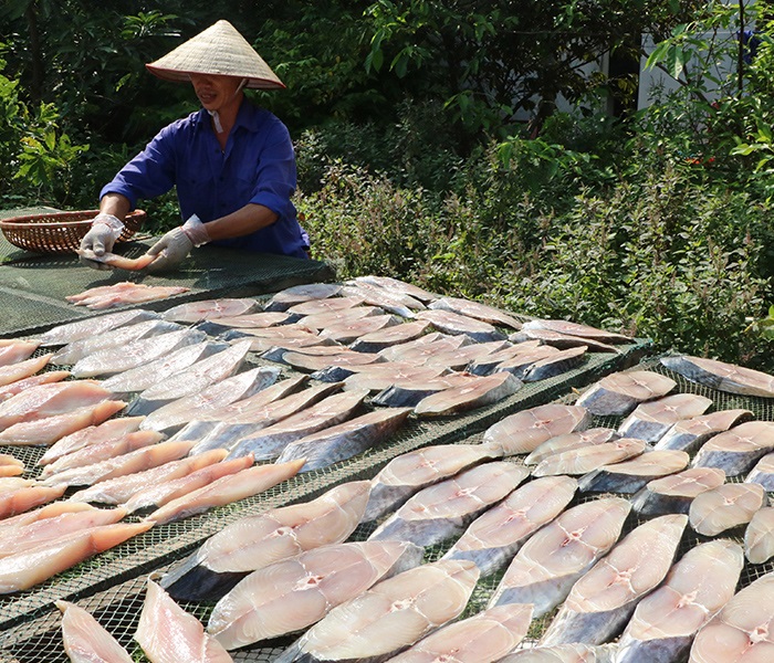 Cá thu một nắng Hạ Long được phơi nắng tự nhiên